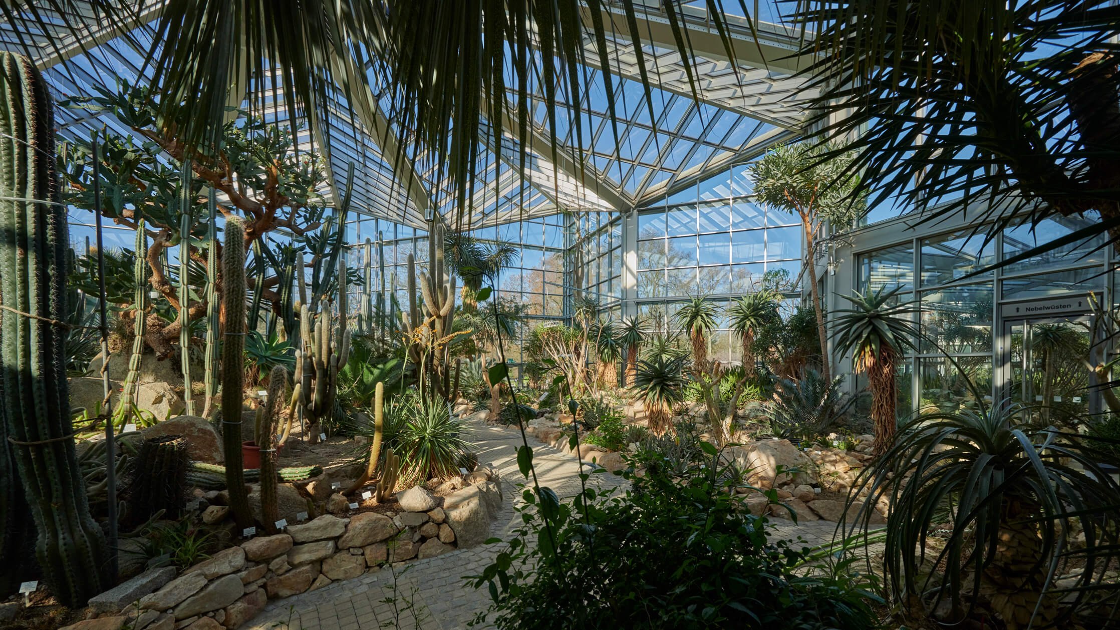 Das Tropicarium von innen. Verschiedene Pflanzen darunter Palmen und Kakteen, erstrecken sich in diesem Raum.