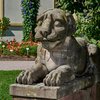 Eine Löwenfigur aus Sandstein. Sie liegt in der Nähe des Haus Leonhardsbrunn.