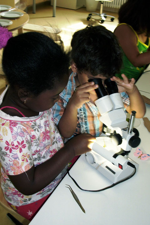 Ein Junge und ein Mädchen stehen vor einem Mikroskop. Der Junge schaut gerade durch das Mikroskop und das Mädchen schaut dabei zu.