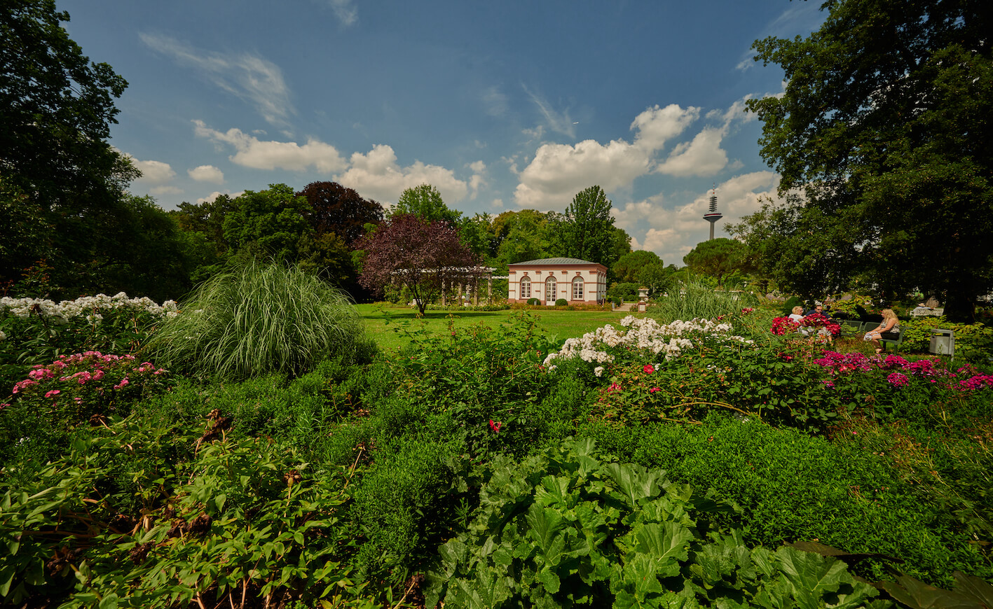 Das Haus Rosenbrunn ist ein kleines Häuschen, das von Natur umgeben ist. Rosen und andere rosafarbene und rote Blumen wachsen neben ihm. Der Fernsehturm ragt im Hintergrund hervor. Auf einer Bank auf der linken Seite genießen einige Besucher:innen das sonnige Wetter.